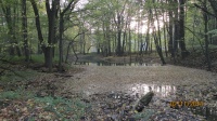 IMG_3761.jpg, 28kB